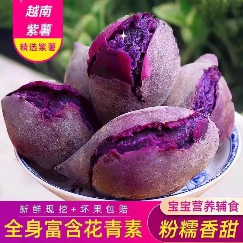 正宗地瓜越南小紫薯馋味鼠香甜