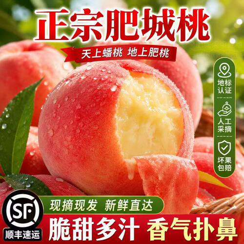 泰安肥城肥桃脆甜水果可放软