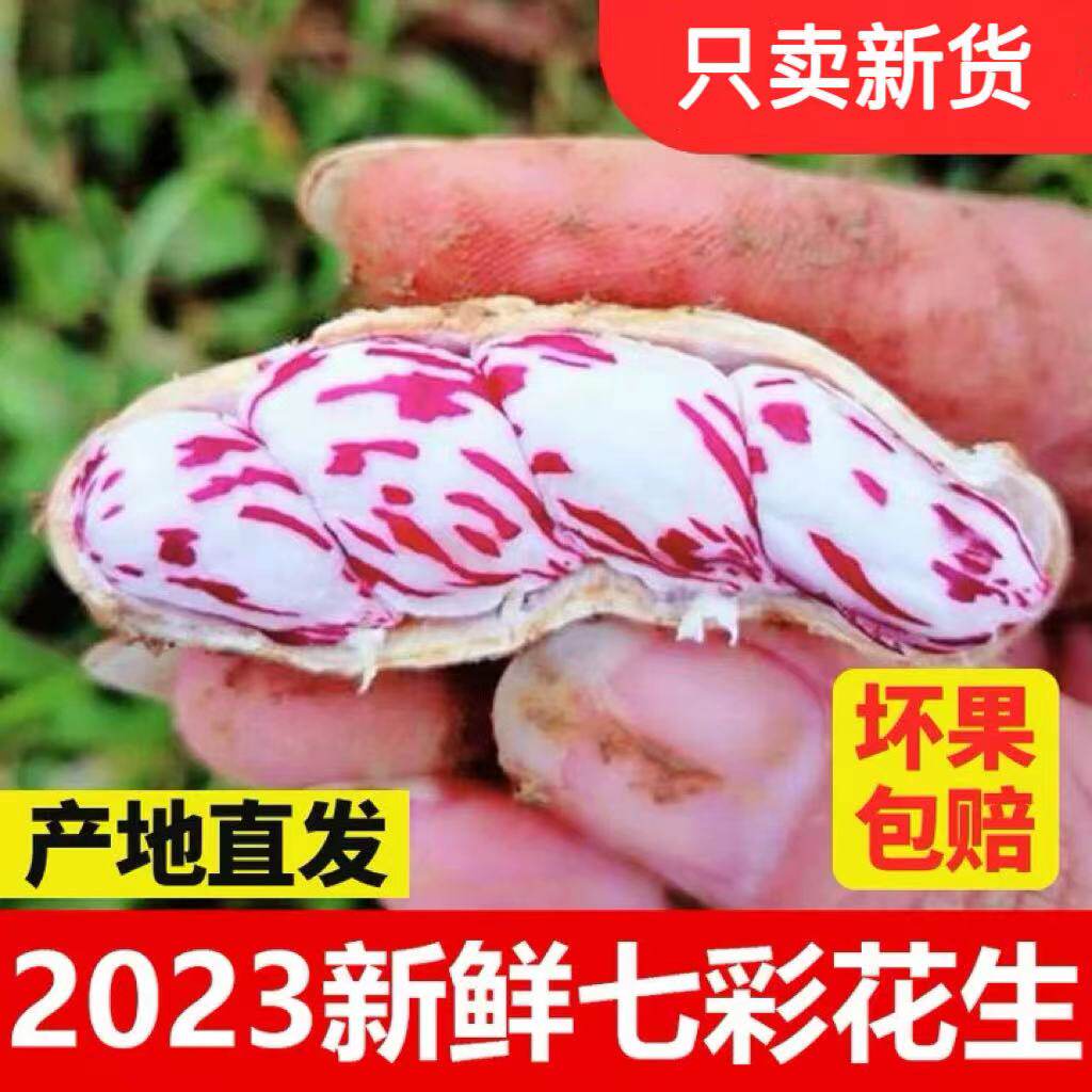 2026年新货云南七彩花生新鲜生花生带壳生熟可选原味产地直发5斤