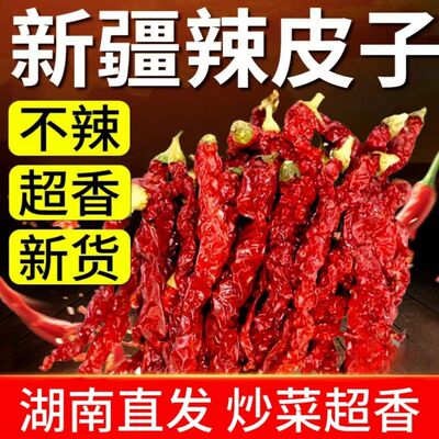 正宗新疆安集海线椒椒辣皮子辣椒微辣特香不辣新疆原产地商用