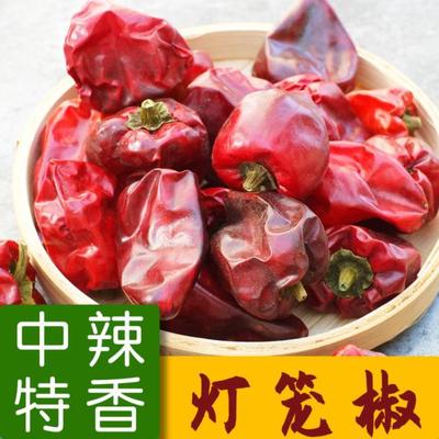 中辣特香干灯笼椒贵州遵