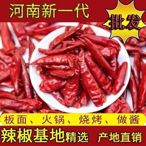 河南新一代干辣椒微特香