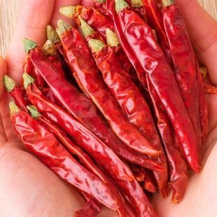 湖南小龙虾配料卤虾麻辣小龙虾配料巨辣辣椒印度S17湖南野山椒辣