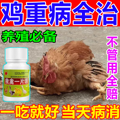 养鸡专用药鸡病全治抗病毒急救片