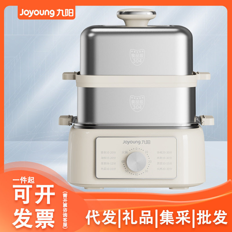 厂家直销蒸锅不锈钢电煮锅电火锅锅电热锅多用途锅DZ110HG-GZ585