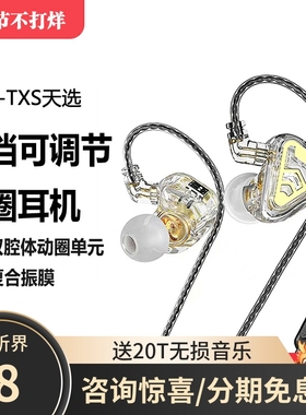 CVJ TXS天选入耳式高音质电脑有线动圈耳机圆孔HIFI游戏typec接口