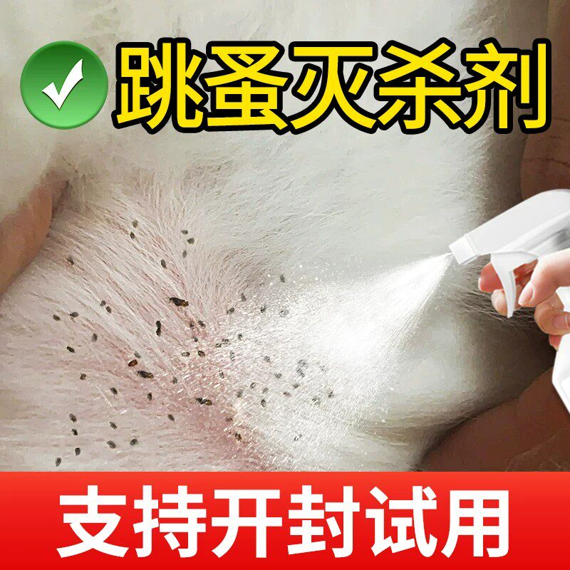 跳蚤喷雾剂500ml宠物专用家用