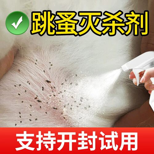 跳蚤喷雾剂500ml宠物专用家用