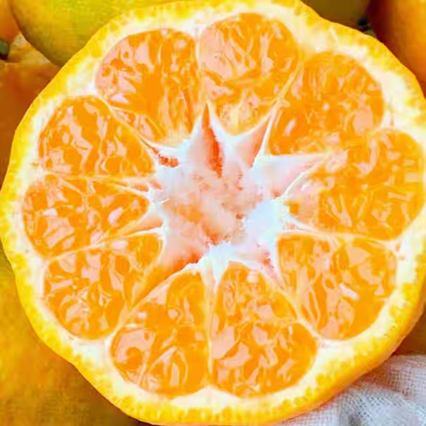 四川当季新鲜现摘碰柑口感甜清香整箱8.5斤净果足秤包邮