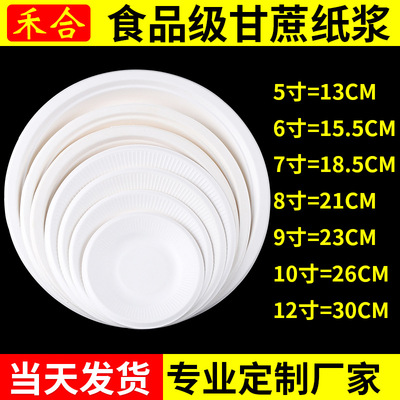 一次性纸盘子绘画幼儿园手工生日蛋糕叉烧烤装食.品圆形白加厚盘