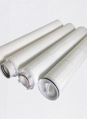 BHFA-PP-20-N-0100-E-S-H前置保安过滤器滤芯聚丙烯折叠滤芯