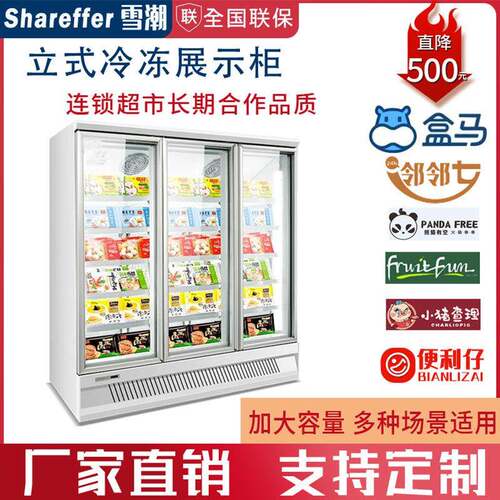 雪潮立式冷冻柜商用大容量水果蔬菜冷藏保鲜冰柜冷冻展示陈列冷柜
