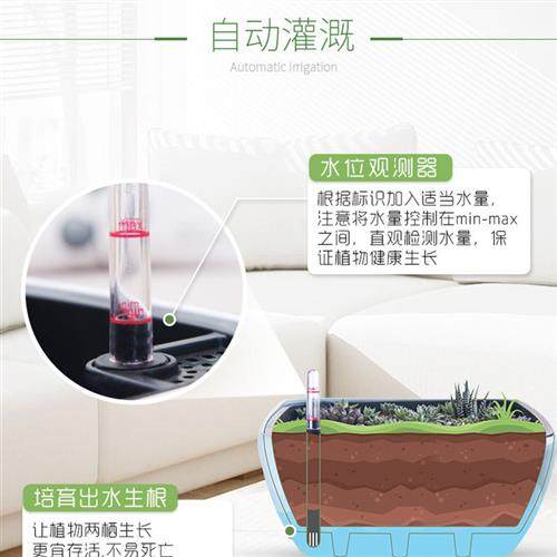 大口径多肉花盆桌面双层储水懒人自吸水无孔不漏水种黄金葛盆矮塑,鲜花速递/花卉仿真/绿植园艺,花盆,淘宝优惠券,粉丝福利购,淘宝优惠卷