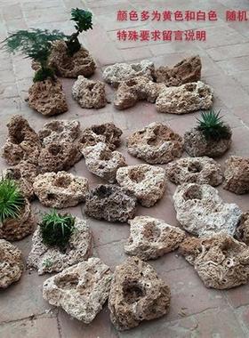 吸水石上水石原石盆微景观天然加湿器菖蒲文竹多肉植物专用石槽