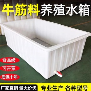 牛筋塑料水箱长方形加厚大容量水产养殖养鱼卖鱼大号储水桶周转箱