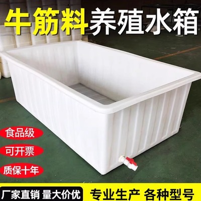 牛筋塑料水箱长方形加厚大容量水产养殖养鱼卖鱼大号储水桶周转箱