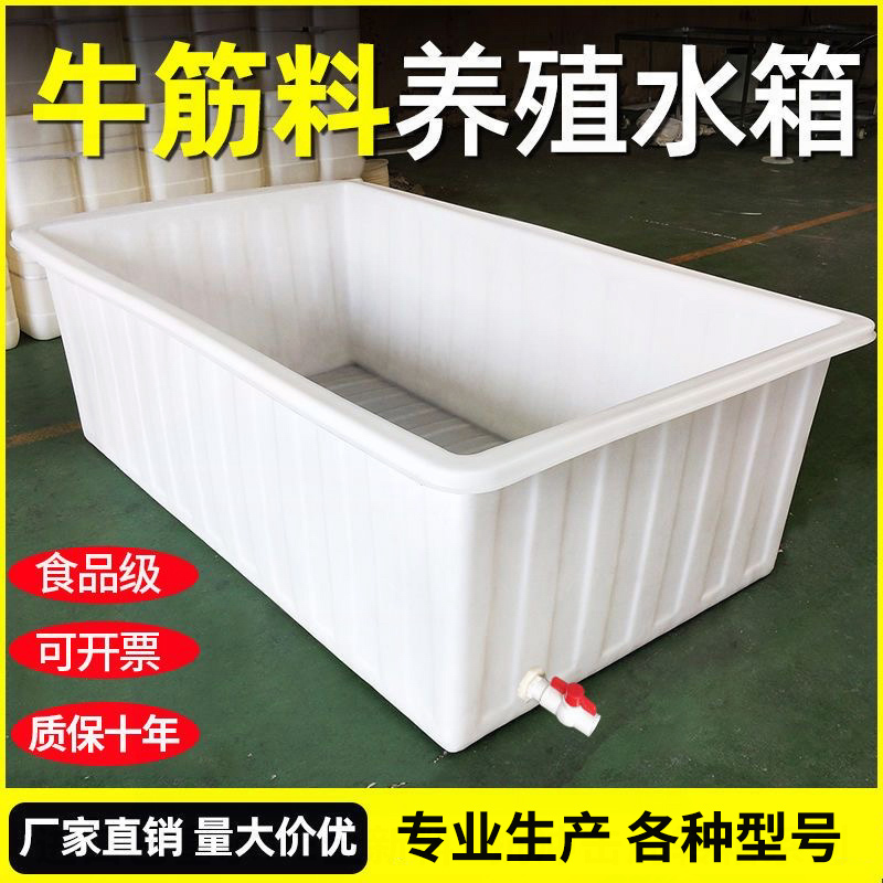 牛筋塑料水箱長方形加厚大容量水產(chǎn)養(yǎng)殖養(yǎng)魚賣魚大號儲水桶周轉(zhuǎn)箱