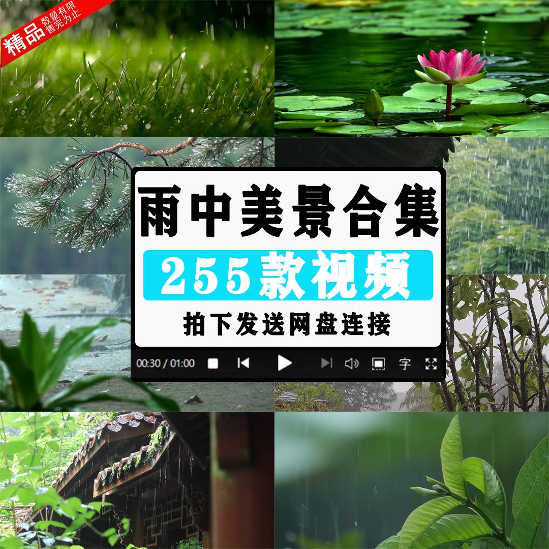 唯美自然下雨天空树叶水滴水珠雨中屋檐高清治愈短片剪辑视频素材