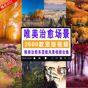 唯美治愈场景竖版花海夕阳风景树林场景屏保背景短片剪辑视频素材