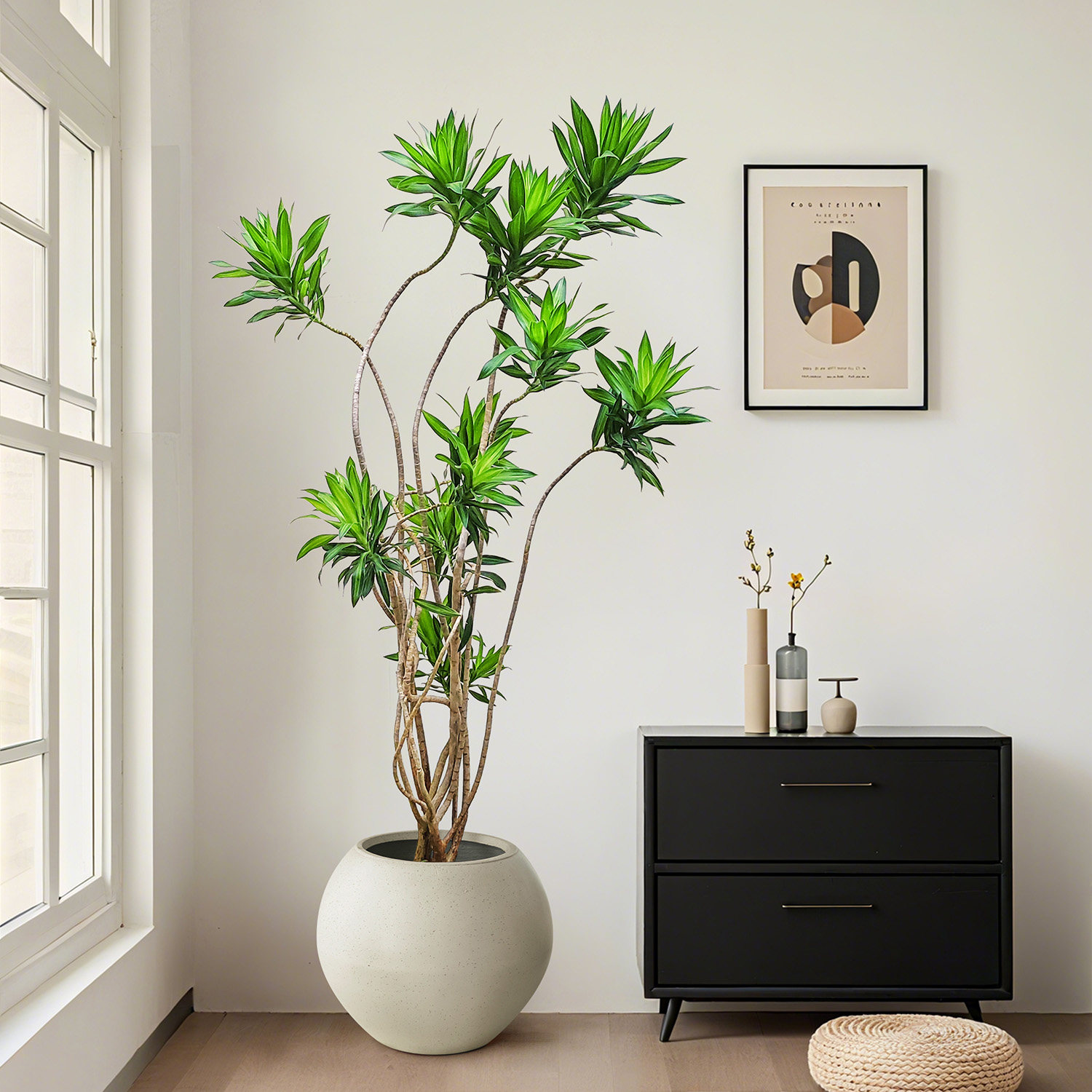 竹事皆顺金心百合竹客厅室内办公室摆放绿植四季好养易活大型盆栽