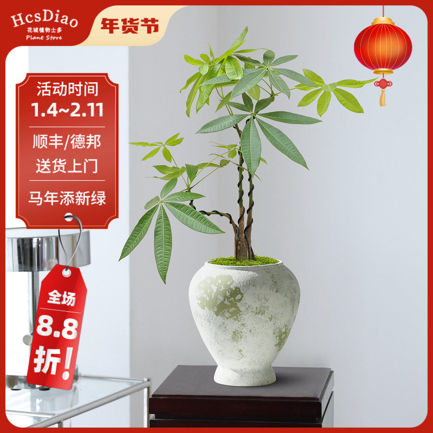 乔迁之喜发财树盆栽办公室好养活室内玄关绿植客厅桌面植物招财树