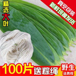 粽子叶新鲜大粽叶包粽子用野生天然家用真空袋装粽叶子箬竹叶批发