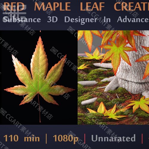 Substance Designer写实红枫叶子材质球枫叶植物教程和SD材质sbs