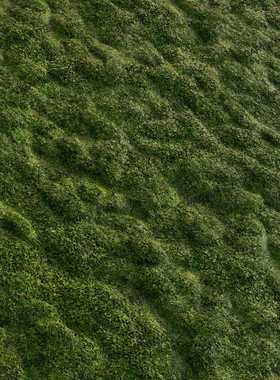 Substance Designer风格化树皮苔藓sbsr树干纹理SD材质sbs格式118