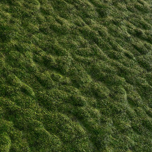 Substance Designer风格化树皮苔藓sbsr树干纹理SD材质sbs格式118