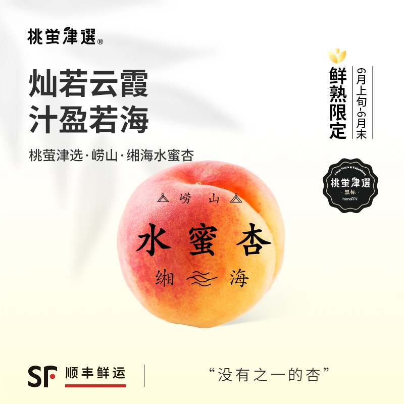 桃萤津选 崂山缃海水蜜杏 一口爆汁/蜜盈春夏 响石水库产 礼盒 SF