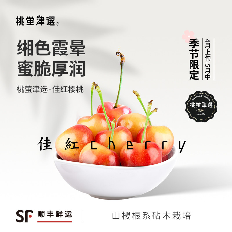 桃萤津选 大连佳红樱桃 黄金车厘子 山樱根系 礼盒 SF