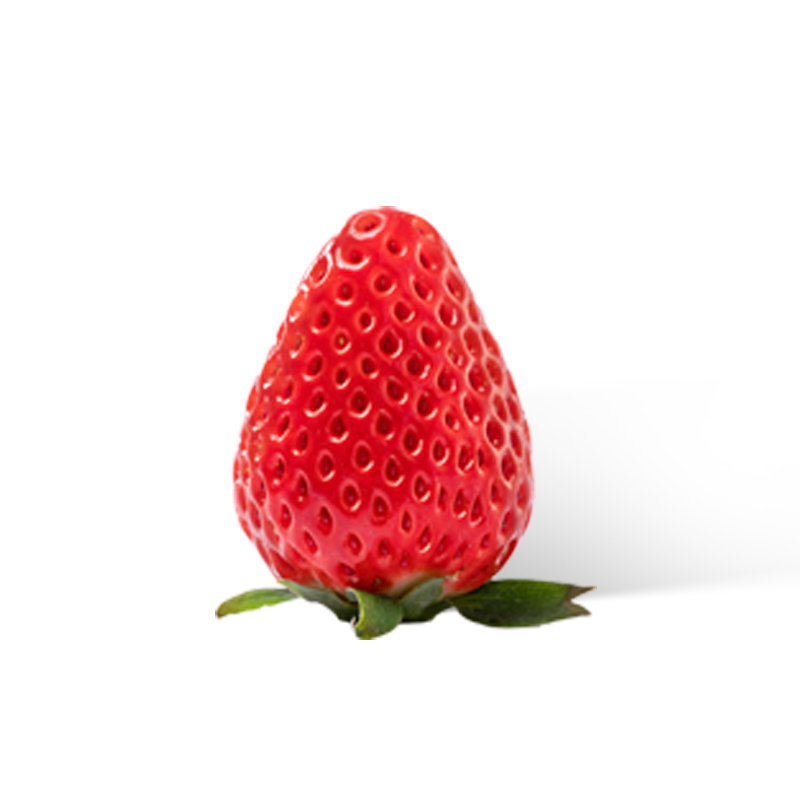 桃萤津选 赤望「R」草莓 AIberry联名 O农残 4D垂直农场产 礼盒SF
