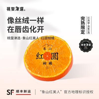 象山红美人柑橘梦幻柑橘！礼盒装