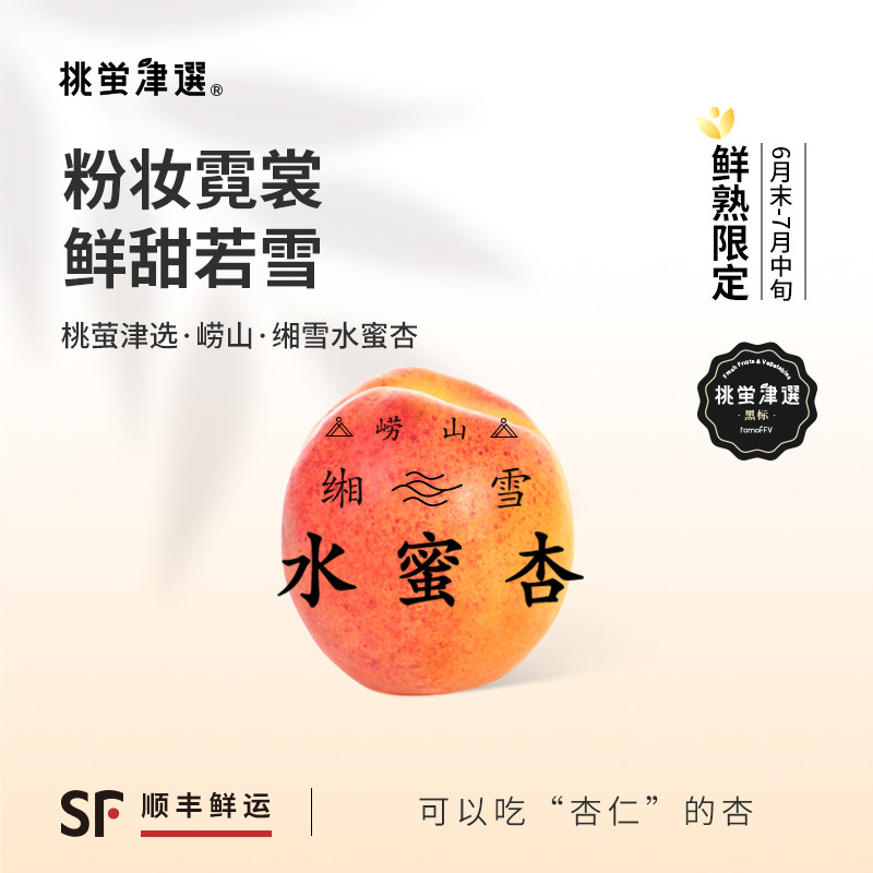 桃萤津选 崂山缃雪水蜜杏 鲜甜蜜香/杏仁可食 响石水库产 礼盒 SF