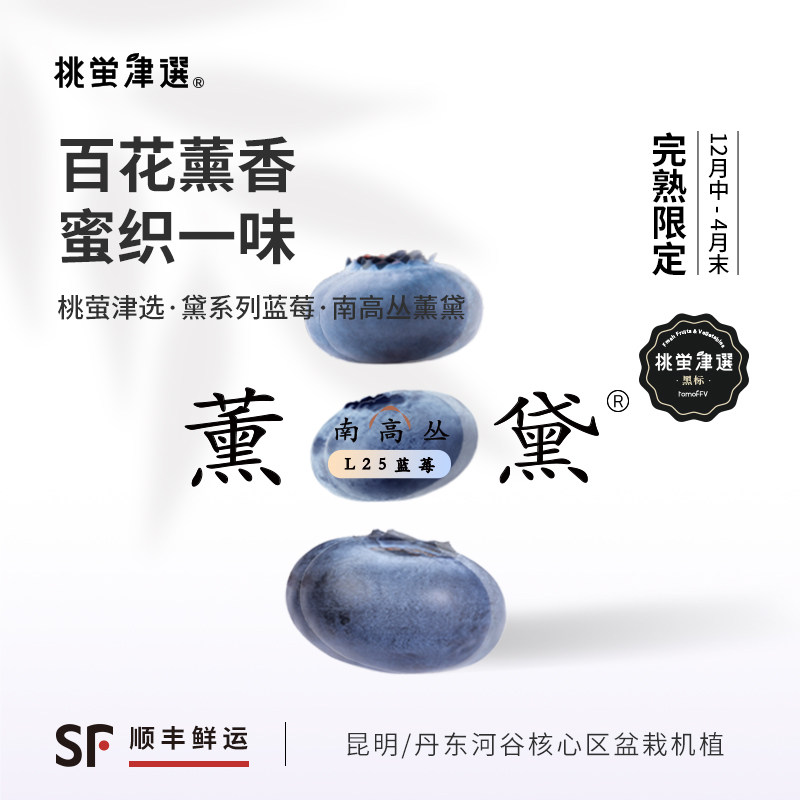 限！桃萤津选 薰黛L25蓝莓 百花馥香型 丹东科技温室产 礼盒装 SF