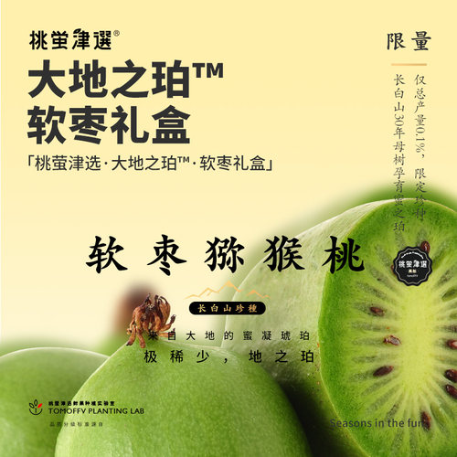 单果可达45g！大地之珀-果王软枣