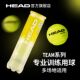 弹力耐打4粒 HEAD海德网球罐装 专业有压比赛训练无压笼式 罐
