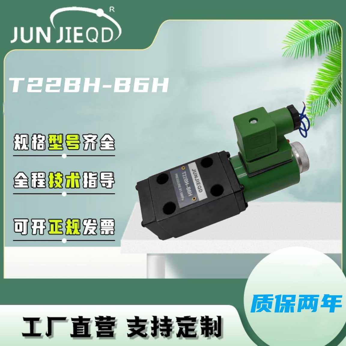 源头T22BH-B6H电磁换向阀夹轨器电磁阀液压电磁阀,标准件/零部件/工业耗材,液压阀,淘宝优惠券,粉丝福利购,淘宝优惠卷