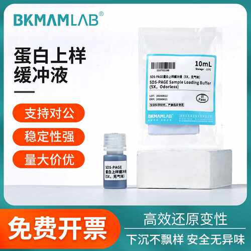 比克曼生物蛋白上样缓冲液SDS-PAGE还原型电泳实验Loading buffer