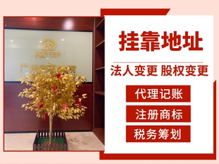 广州南沙法人变更股权变更办理服务咨询