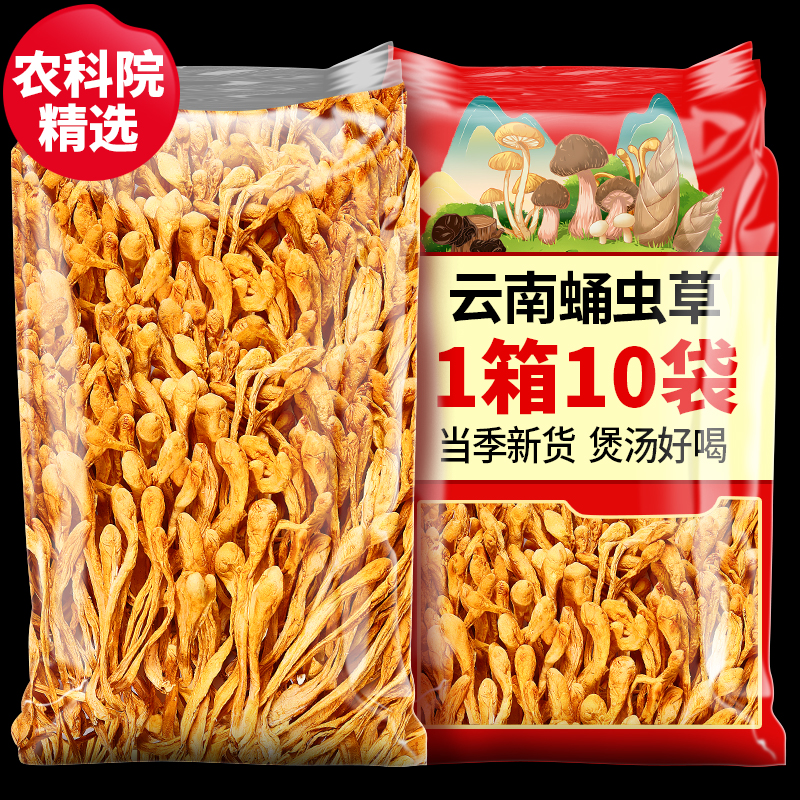 农科院新货蛹虫草云南特产级虫草花北金蛹虫草煲汤食材火锅金虫草
