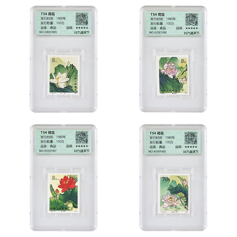 评级封装T54荷花纪念邮票