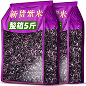 新米紫米云南紫糯米黑糯粽子米饭团材料正宗500g五谷杂粮米血糯米