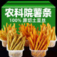 滇二娃农科院薯条香辣土豆条洋芋丝16g便宜休闲解馋小零食特产