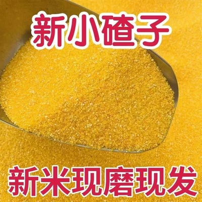 玉米糁玉米渣东北玉米碴子农家正宗新鲜小碴子超细玉米糁玉米粉