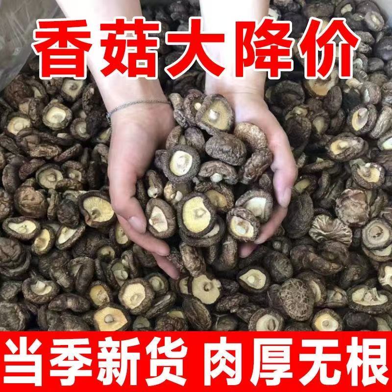 香菇干货500g西峡特产农家精选煲汤肉厚无根干蘑菇菌菇冬菇香茹