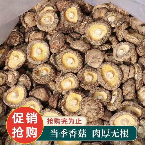 古田香菇干货500g净重特级农家精选煲汤干蘑菇菌菇冬菇散装优质