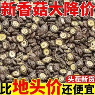 新货古田香菇干货肉厚无根鲜嫩香菇干货批发干香菇煲炒汤菜食材