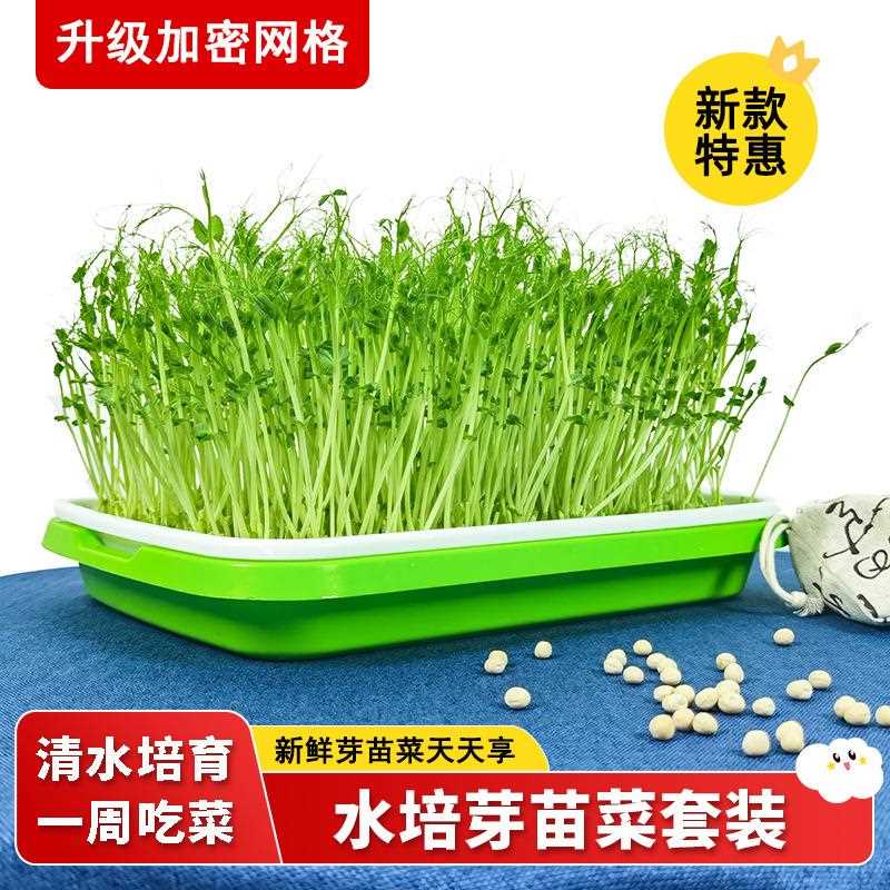 水培盘蔬菜种籽花生芽黄豆苗绿豆室内豆芽菜芽苗菜种子豌豆水育盘