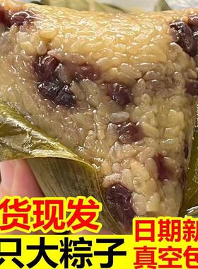 嘉兴大粽子新鲜红豆粽蜜枣粽甜粽子早餐速食粽端午节特产批发